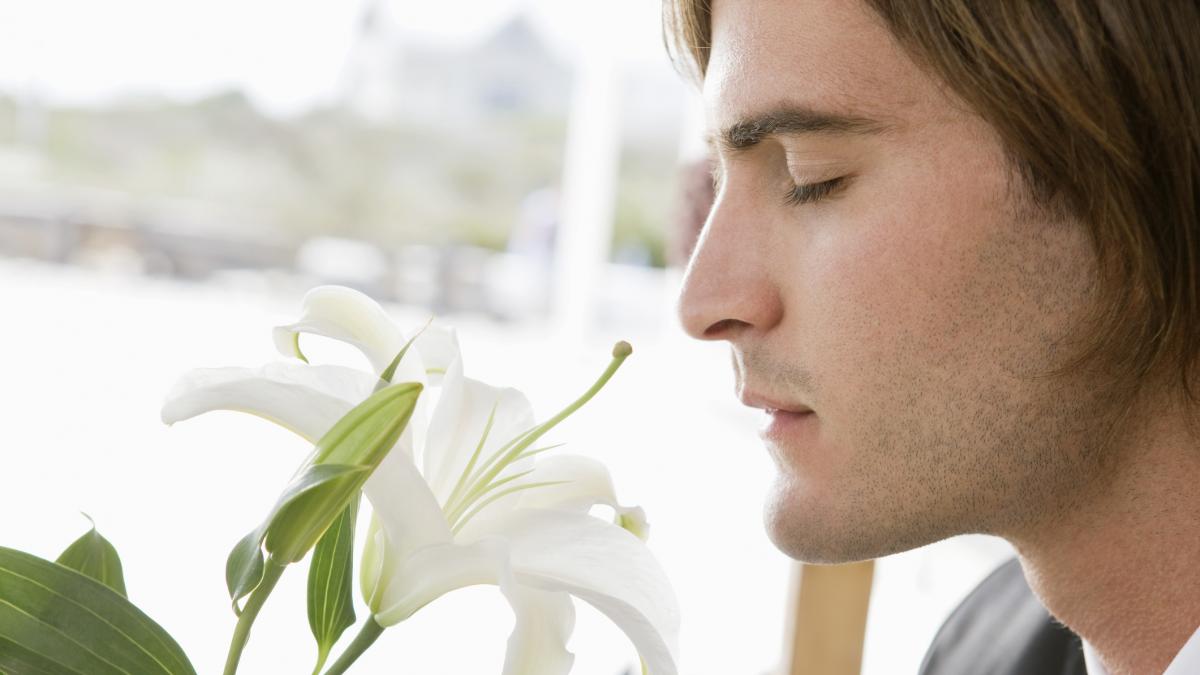 Albert Xamena, bioquímico: 'Si duermes con flores de lavanda al lado, puedes reducir muchísimo la activación del sistema nervioso simpático'