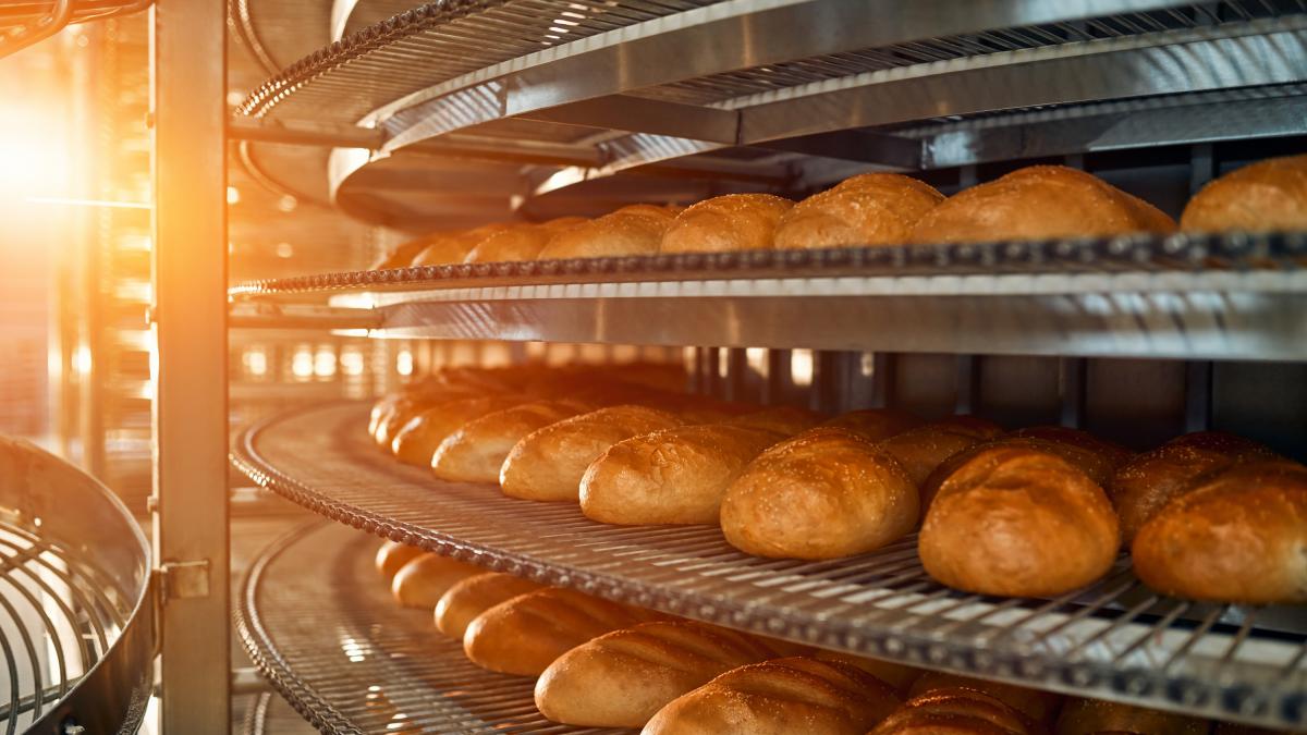 Desmontando mitos sobre el pan y el gluten: lo que realmente dice la ciencia sobre su efecto en el peso y la salud