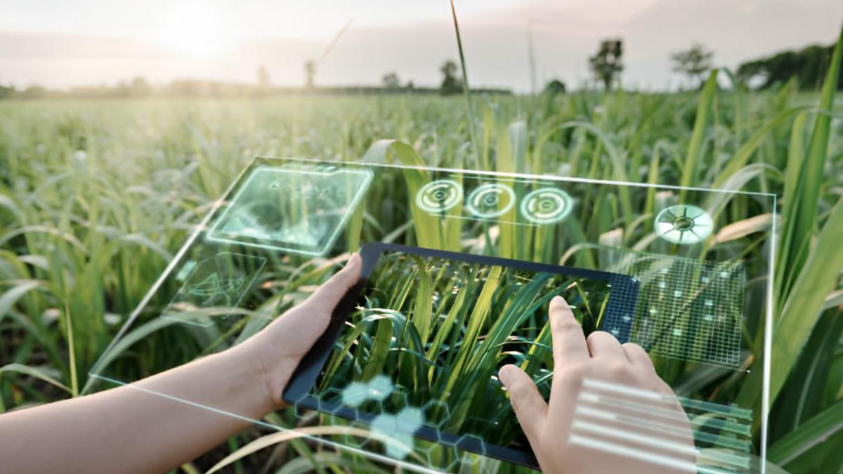 Plantas en riesgo de extinción