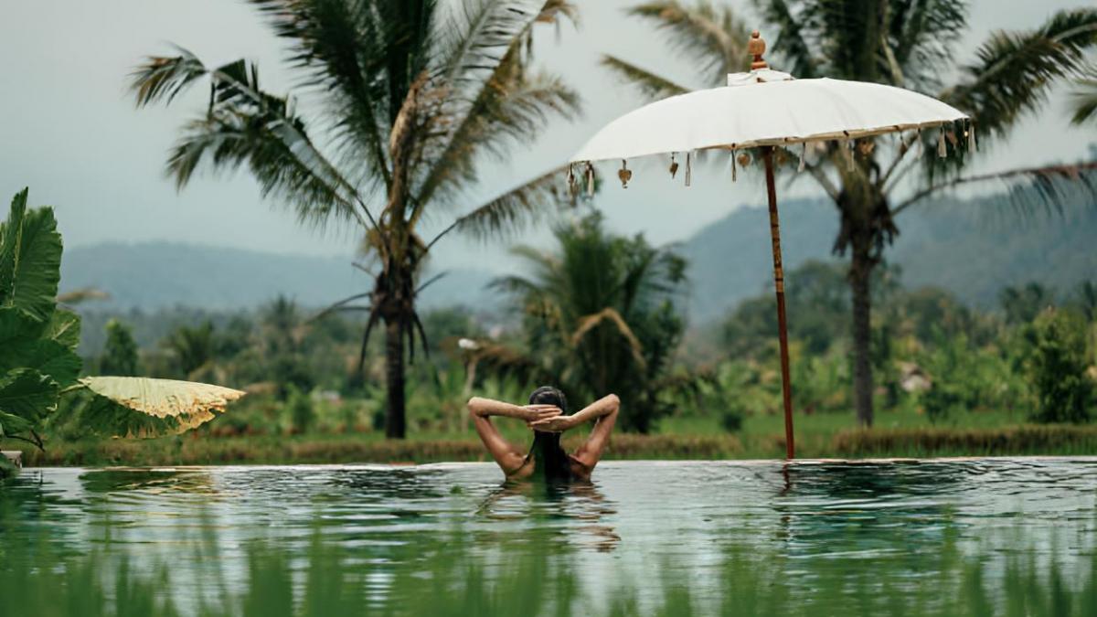 Construye una piscina natural sin cloro para su familia: el agua es tan cristalina que los peces limpian el fondo por sí solos