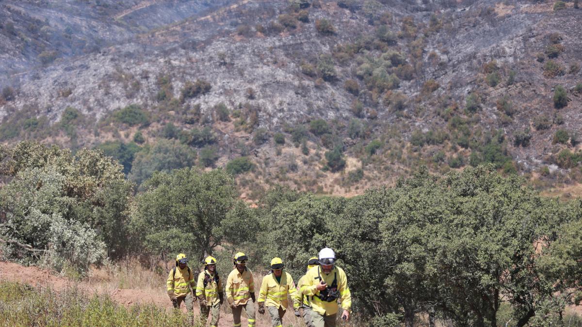 La Junta de Moreno redujo un 14% los agentes de extinción de incendios ...