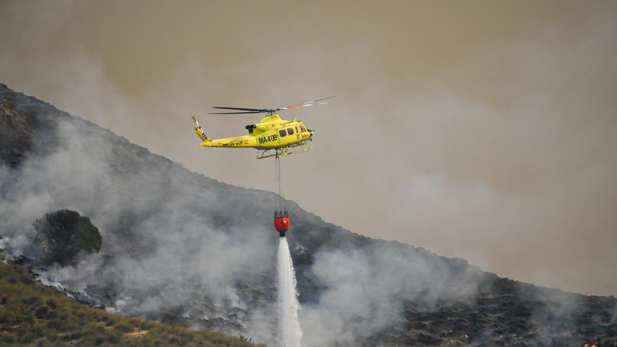 Un experto forestal plantea la pregunta del millón tras el incendio de Almería:  ¿Por qué no lo hacemos? 