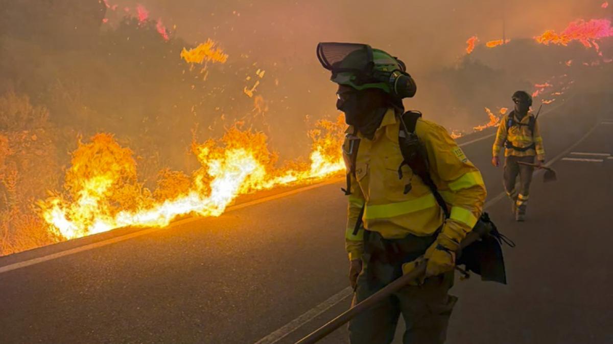 Un bombero explica las razones por las que coger un coche para escapar de un incendio no es buena opción