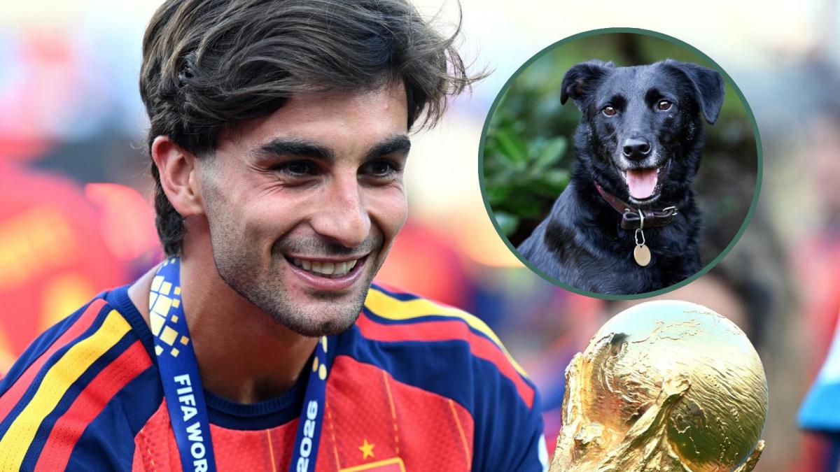 Ferran Torres, 26 años: 'Desde que nací he estado rodeado de perros. No recuerdo la vida sin su compañía'