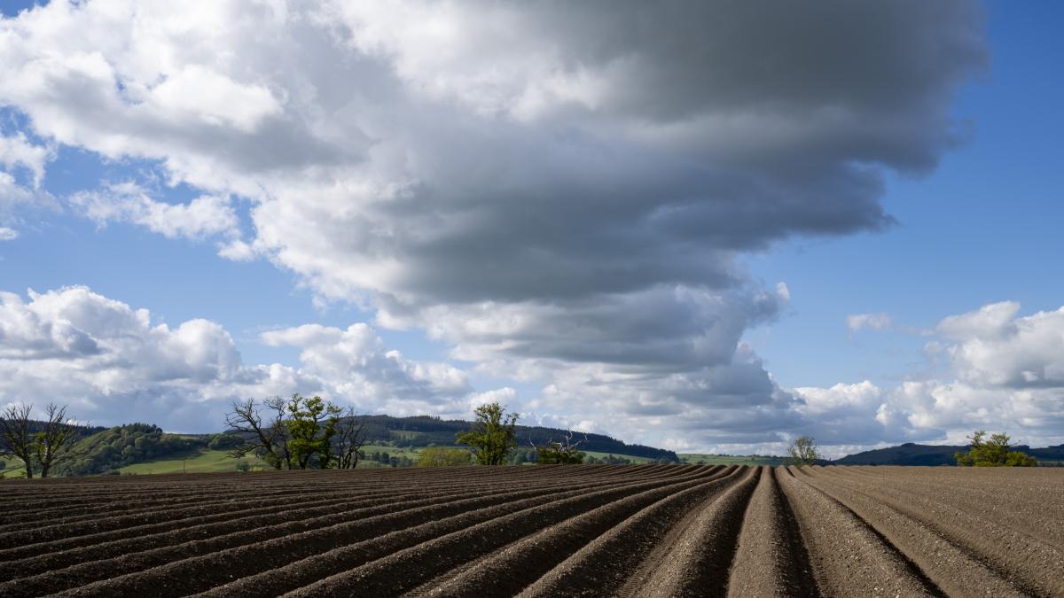 Un agricultor entierra dos calzoncillos idénticos de algodón en su granja y demuestra que el suelo sano no es el que los conserva, sino el que se los come, lo que es más positivo para los ecosistemas