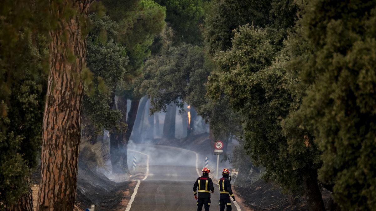 Un bombero pone a todo el mundo contra su propio espejo con una pregunta que es clave para la prevención de incendios