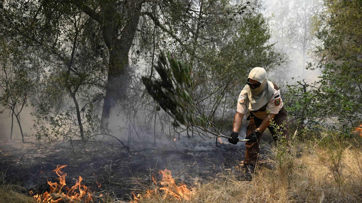 situación incendios