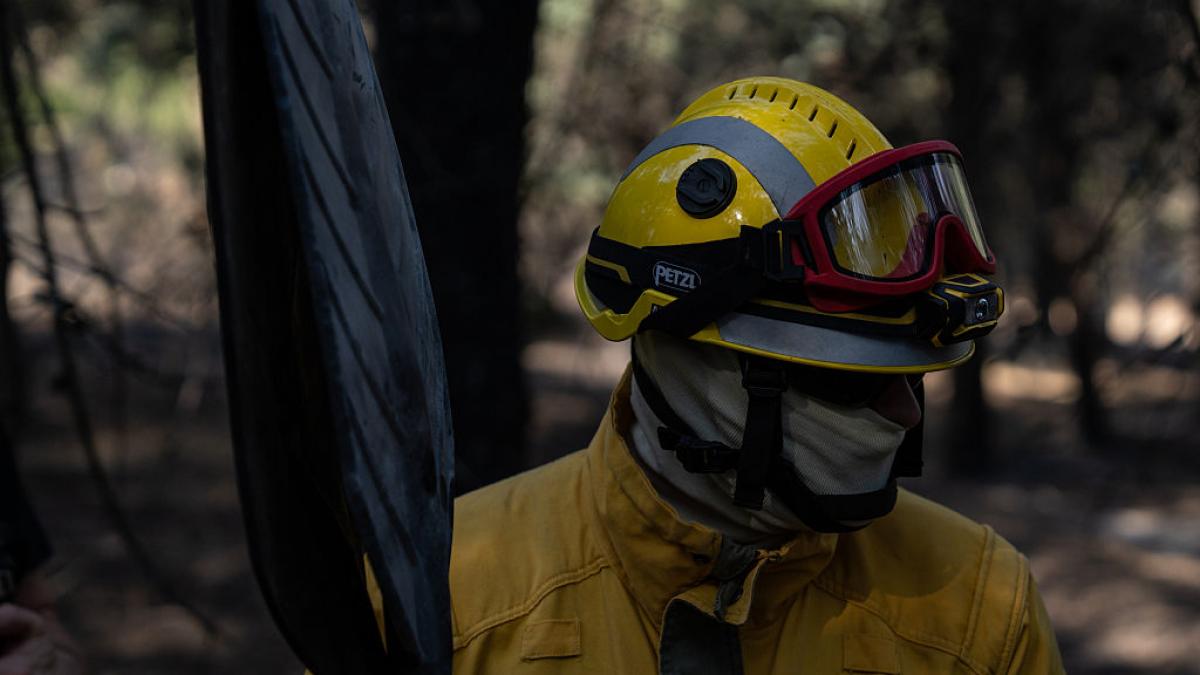 Un ingeniero de montes desmonta en dos minutos el mayor bulo sobre los incendios forestales y va camino de verlo media España