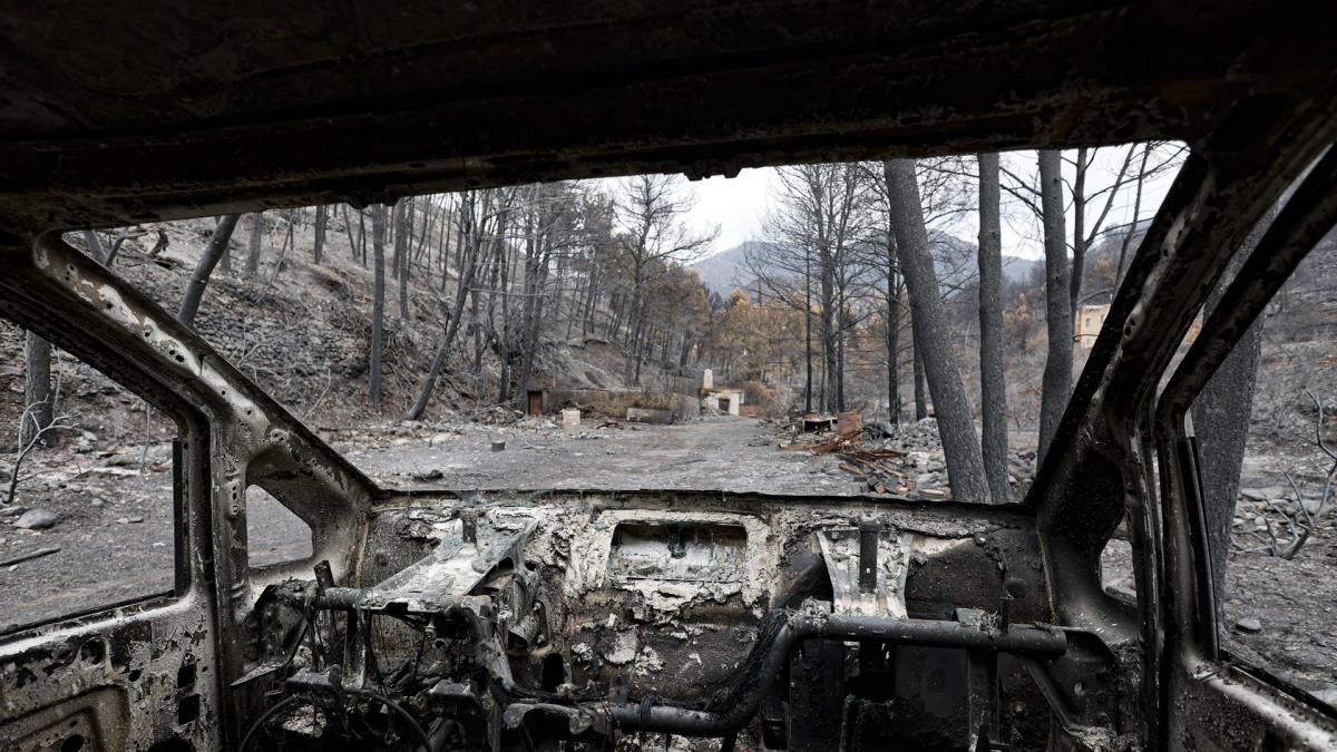 Los incendios dan un respiro parcial en España, pero el riesgo sigue siendo extremo: Zamora, Ávila y Cáceres mantienen la máxima vigilancia