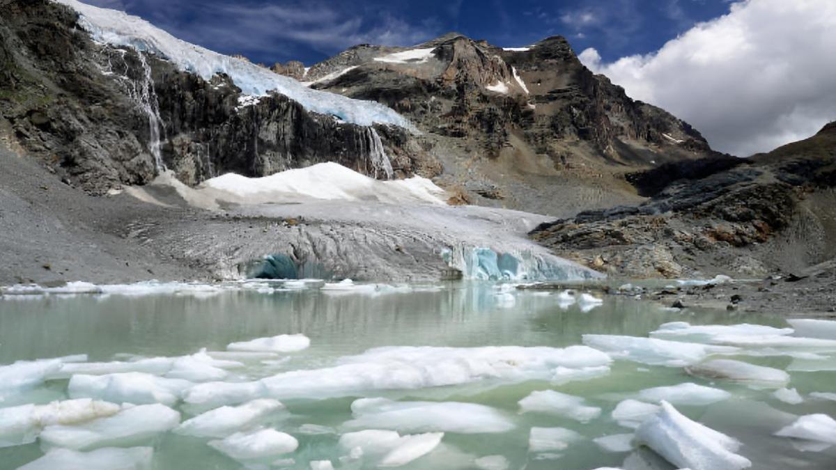 El mayor glaciar de los Alpes italianos ha perdido 12 millones de metros cúbicos de agua en un año y retrocede cada vez más rápido: 265 metros solo desde 2023