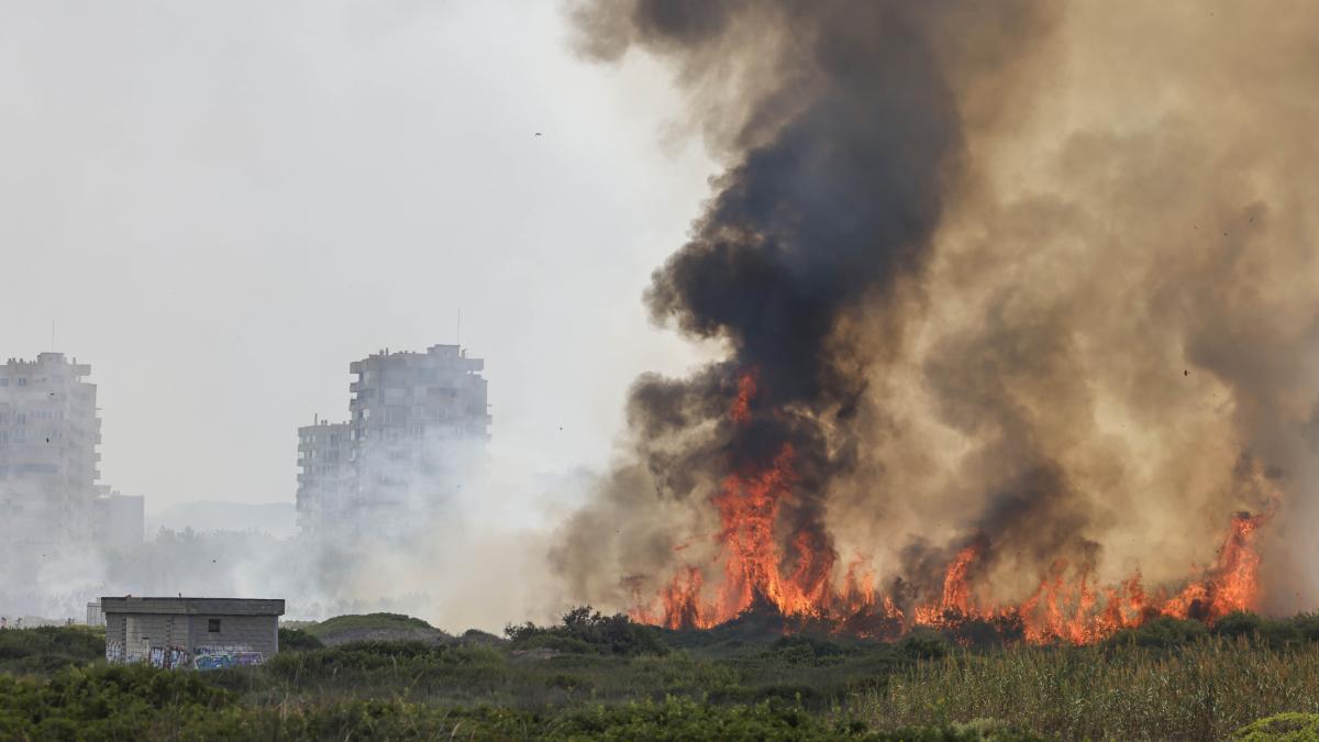 La investigación del incendio forestal de El Saler apunta a que ha sido intencionado