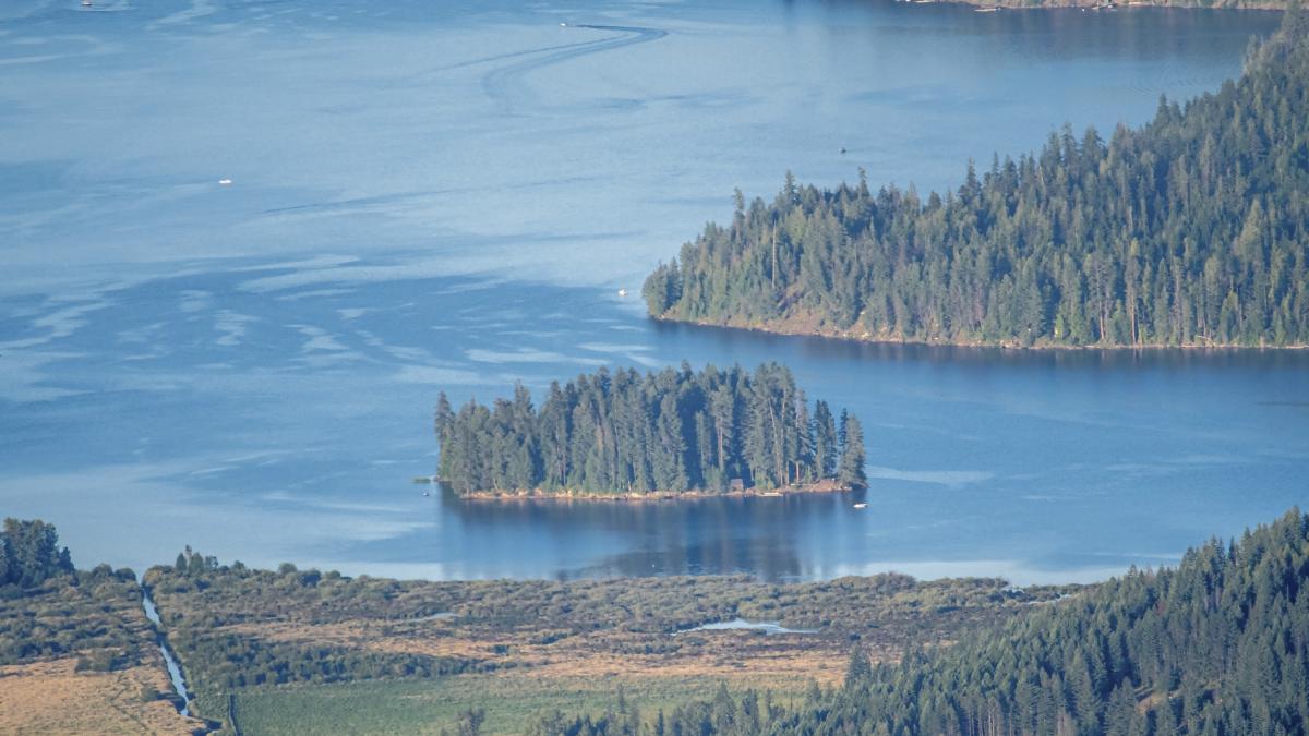 Los científicos no dan crédito: una isla de 150 metros con cien árboles aparece en un lago, desaparece y vuelve a aparecer a 30 kilómetros de distancia