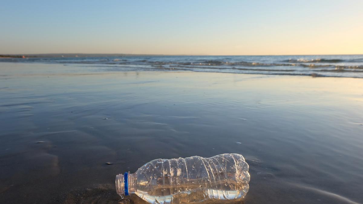 Ir a la playa no solo bañarse y tomar el sol: la petición de una investigadora del Imedea para cuidar la costa balear