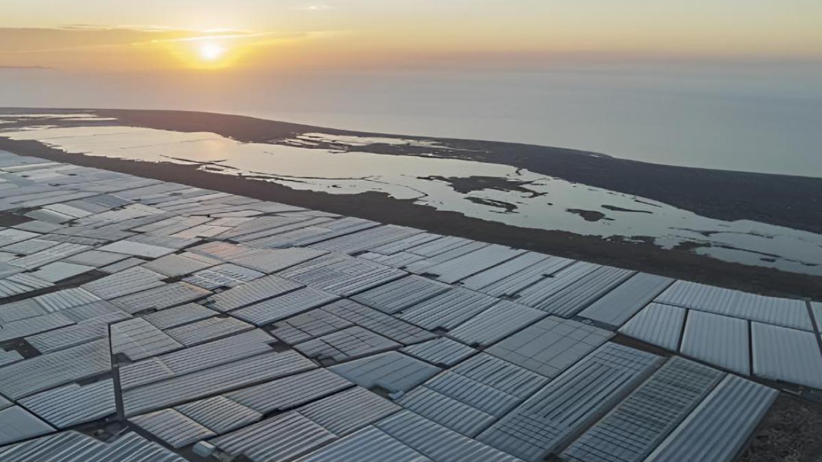 Un agricultor de Almería cubrió su parcela con plástico para adelantar la cosecha: hoy 32.000 hectáreas se ven desde el espacio y han enfriado la provincia