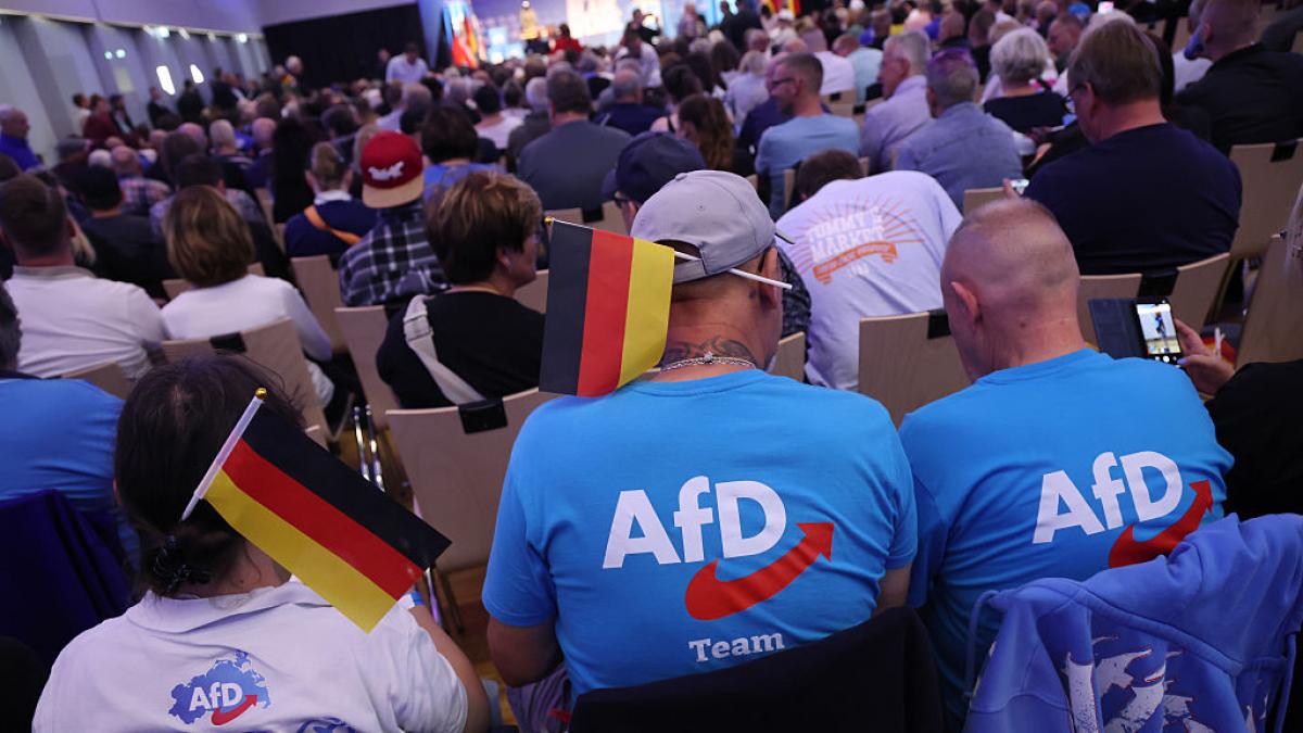 Financiación irregular, nexos con Rusia y esvásticas: lo que esconden los 421.000 correos hackeados a la ultraderecha de AfD