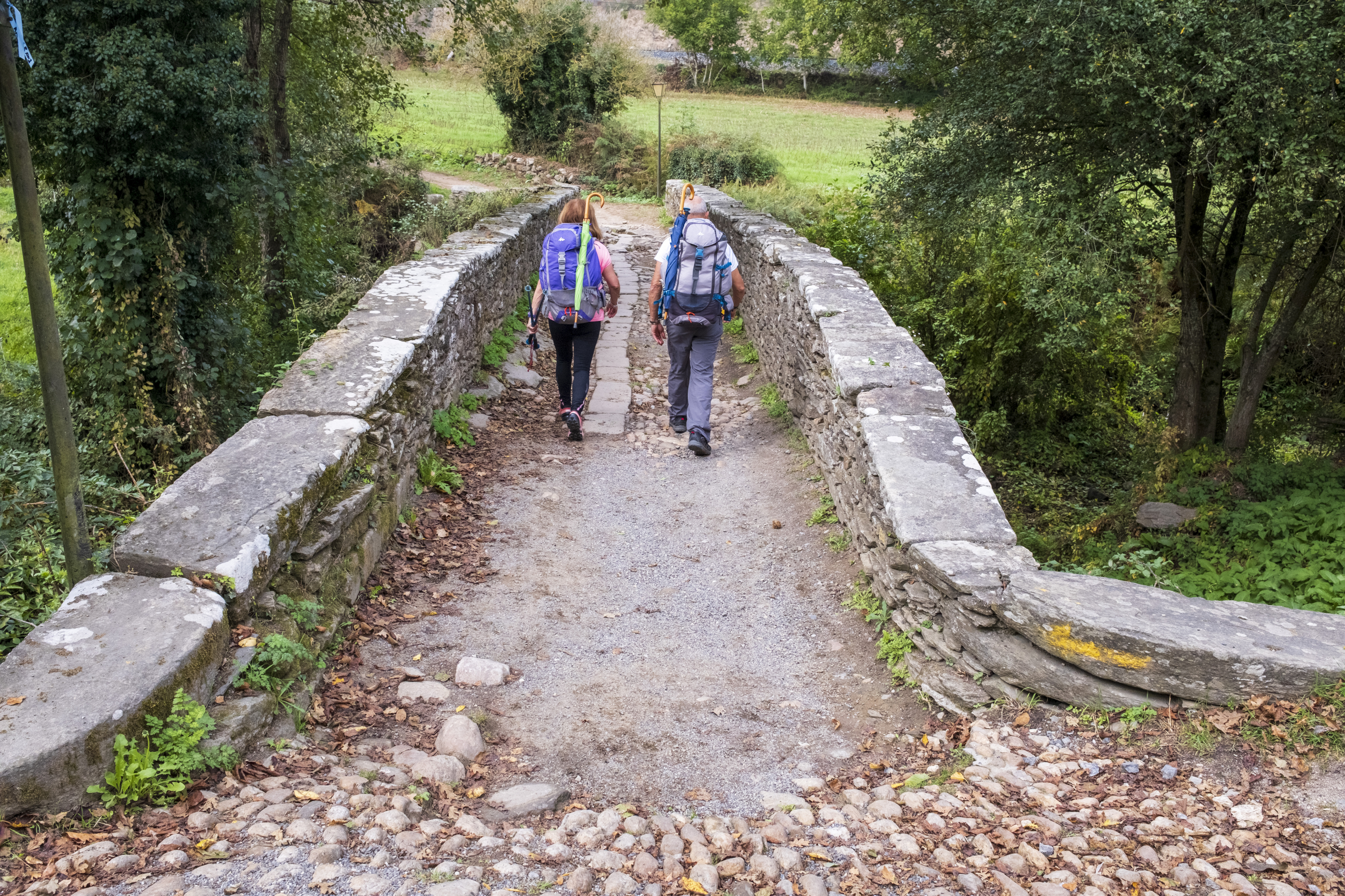 Camino de Santiago: etapas y tramos del camino portugués